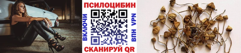 Купить закладки  Якутск  Галлюциногенные грибы GOLDEN TEACHER 